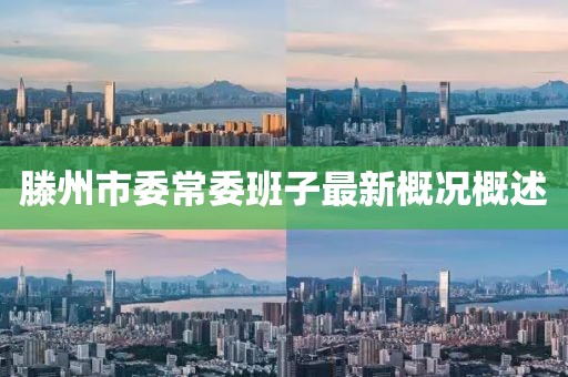 滕州市委常委班子最新概況概述