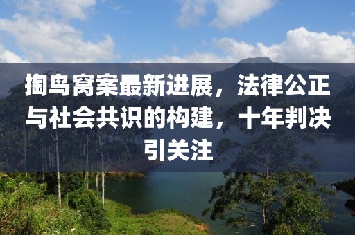 掏鳥窩案最新進(jìn)展，法律公正與社會(huì)共識(shí)的構(gòu)建，十年判決引關(guān)注