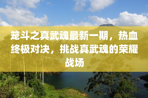 籠斗之真武魂最新一期，熱血終極對決，挑戰(zhàn)真武魂的榮耀戰(zhàn)場