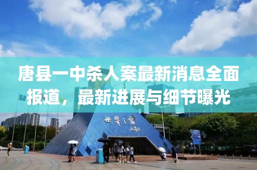 唐縣一中殺人案最新消息全面報道，最新進展與細節(jié)曝光
