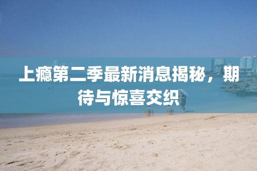 上癮第二季最新消息揭秘，期待與驚喜交織