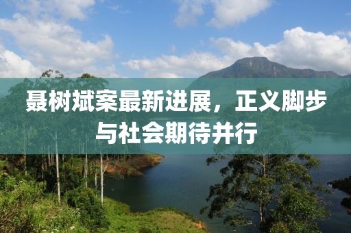 聶樹斌案最新進展，正義腳步與社會期待并行
