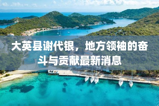大英縣謝代銀，地方領(lǐng)袖的奮斗與貢獻最新消息