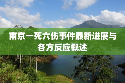 南京一死六傷事件最新進展與各方反應(yīng)概述