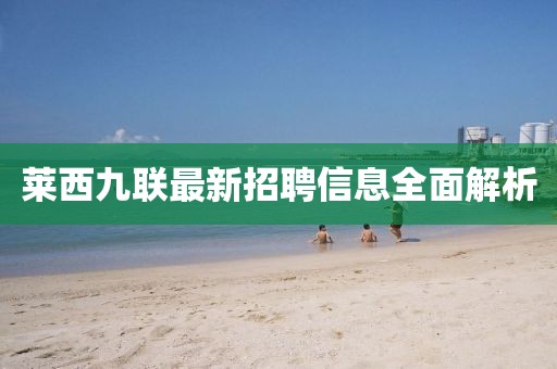 萊西九聯(lián)最新招聘信息全面解析