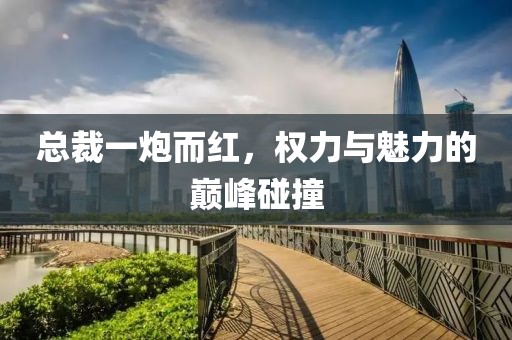 總裁一炮而紅，權(quán)力與魅力的巔峰碰撞