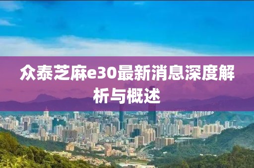 眾泰芝麻e30最新消息深度解析與概述