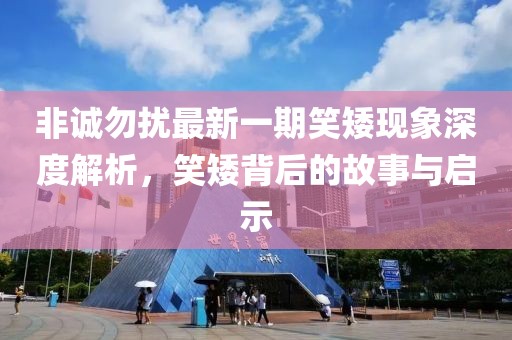 非誠(chéng)勿擾最新一期笑矮現(xiàn)象深度解析，笑矮背后的故事與啟示