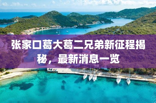 張家口葛大葛二兄弟新征程揭秘，最新消息一覽