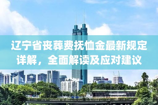 遼寧省喪葬費撫恤金最新規(guī)定詳解，全面解讀及應對建議