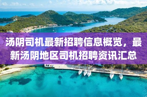 湯陰司機(jī)最新招聘信息概覽，最新湯陰地區(qū)司機(jī)招聘資訊匯總