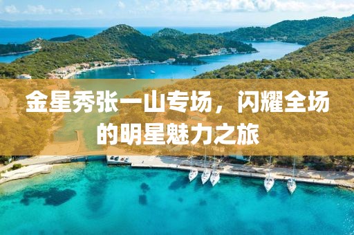 金星秀張一山專(zhuān)場(chǎng)，閃耀全場(chǎng)的明星魅力之旅