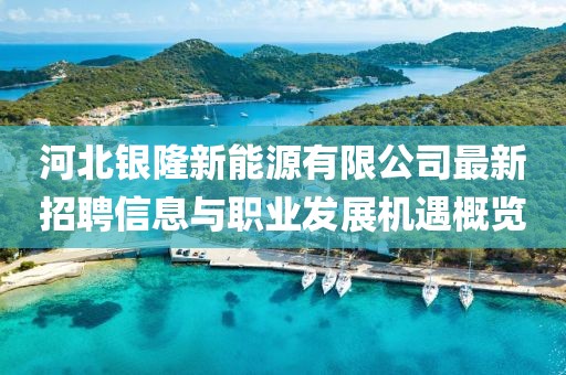河北銀隆新能源有限公司最新招聘信息與職業(yè)發(fā)展機(jī)遇概覽