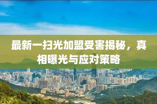 最新一掃光加盟受害揭秘，真相曝光與應(yīng)對(duì)策略
