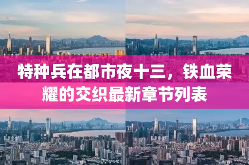 特種兵在都市夜十三，鐵血榮耀的交織最新章節(jié)列表