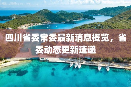 四川省委常委最新消息概覽，省委動態(tài)更新速遞