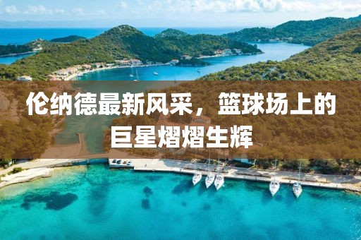 倫納德最新風采，籃球場上的巨星熠熠生輝
