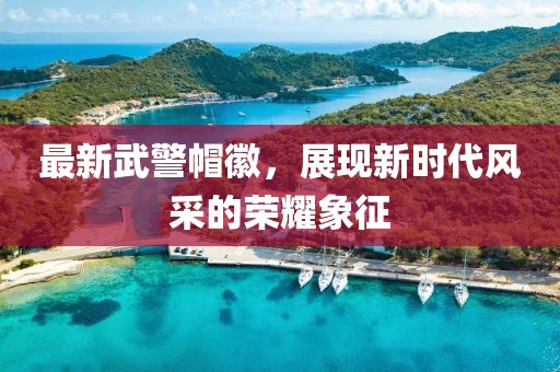 最新武警帽徽，展現(xiàn)新時(shí)代風(fēng)采的榮耀象征