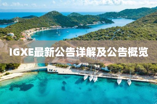 IGXE最新公告詳解及公告概覽