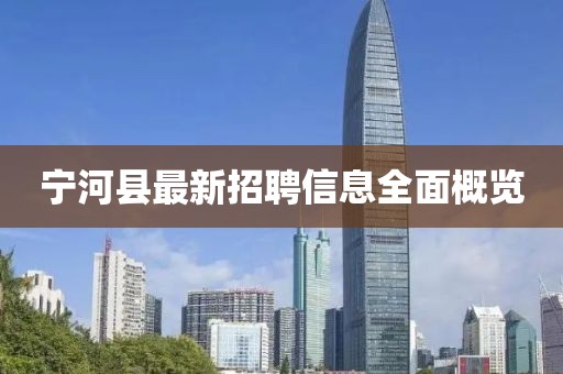 寧河縣最新招聘信息全面概覽