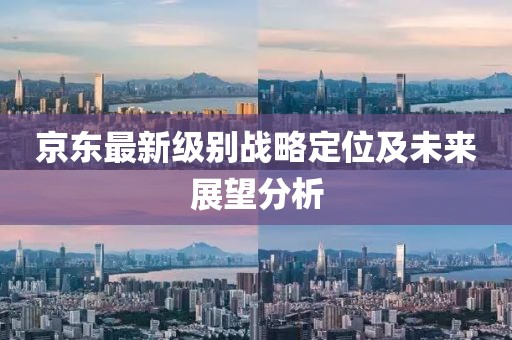 京東最新級(jí)別戰(zhàn)略定位及未來展望分析