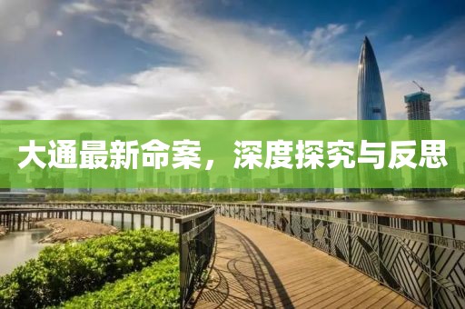 大通最新命案，深度探究與反思