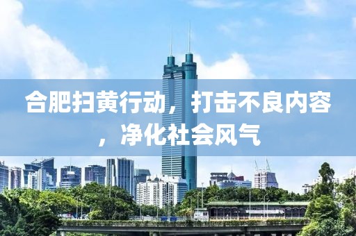 合肥掃黃行動(dòng)，打擊不良內(nèi)容，凈化社會(huì)風(fēng)氣