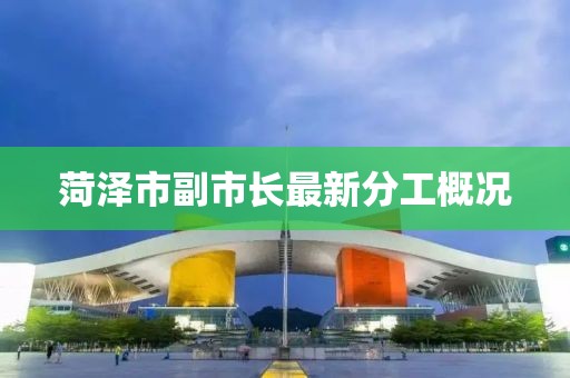 菏澤市副市長(zhǎng)最新分工概況