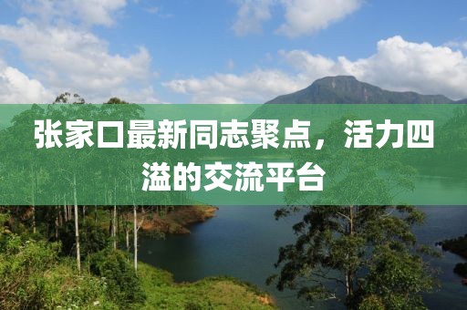 張家口最新同志聚點(diǎn)，活力四溢的交流平臺(tái)