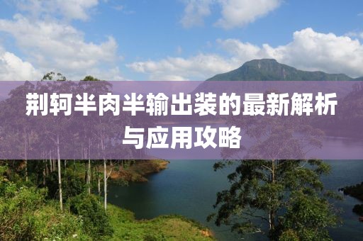 荊軻半肉半輸出裝的最新解析與應(yīng)用攻略