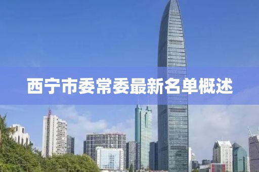 西寧市委常委最新名單概述
