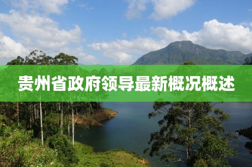 貴州省政府領導最新概況概述