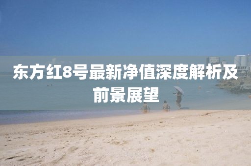 東方紅8號最新凈值深度解析及前景展望