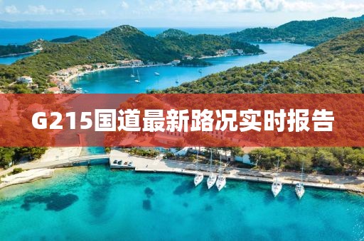 G215國道最新路況實時報告