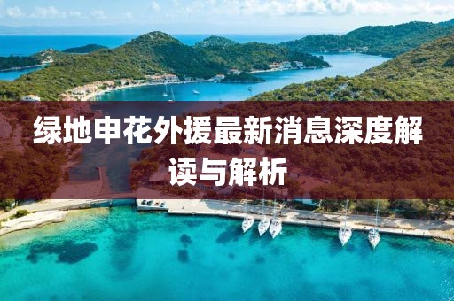綠地申花外援最新消息深度解讀與解析