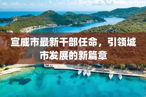 宣威市最新干部任命，引領(lǐng)城市發(fā)展的新篇章