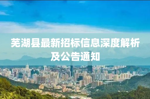 蕪湖縣最新招標(biāo)信息深度解析及公告通知