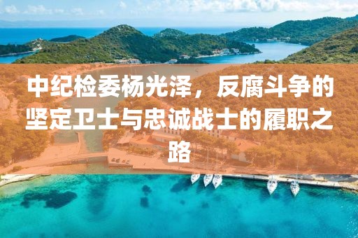 中紀(jì)檢委楊光澤，反腐斗爭的堅定衛(wèi)士與忠誠戰(zhàn)士的履職之路