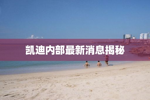 凱迪內(nèi)部最新消息揭秘