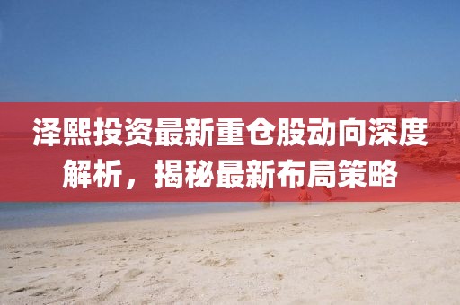 澤熙投資最新重倉股動向深度解析，揭秘最新布局策略