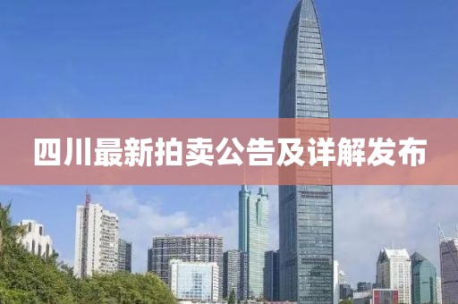 四川最新拍賣(mài)公告及詳解發(fā)布