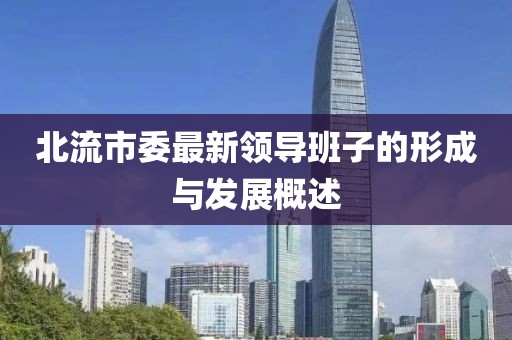 北流市委最新領(lǐng)導(dǎo)班子的形成與發(fā)展概述