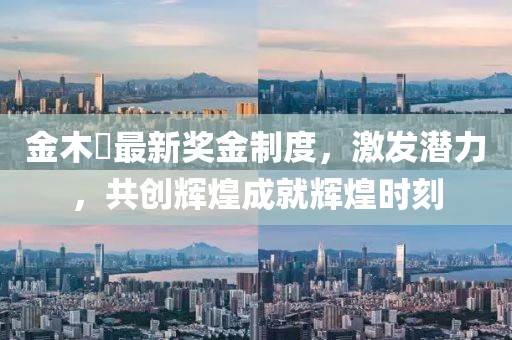 金木芃最新獎金制度，激發(fā)潛力，共創(chuàng)輝煌成就輝煌時刻