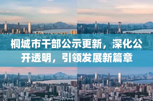 桐城市干部公示更新，深化公開透明，引領(lǐng)發(fā)展新篇章