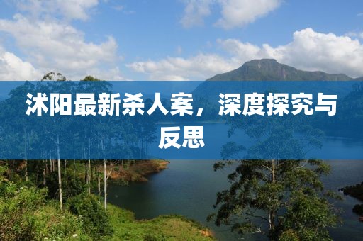 沭陽最新殺人案，深度探究與反思