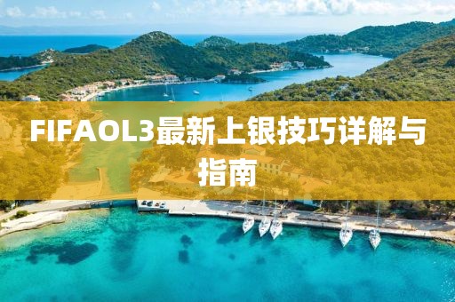 FIFAOL3最新上銀技巧詳解與指南