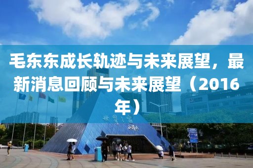 毛東東成長軌跡與未來展望，最新消息回顧與未來展望（2016年）