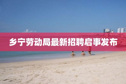 鄉(xiāng)寧勞動局最新招聘啟事發(fā)布