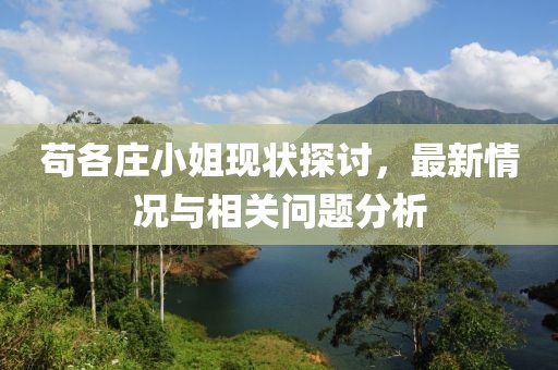 茍各莊小姐現(xiàn)狀探討，最新情況與相關(guān)問題分析