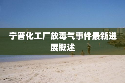 寧晉化工廠放毒氣事件最新進(jìn)展概述